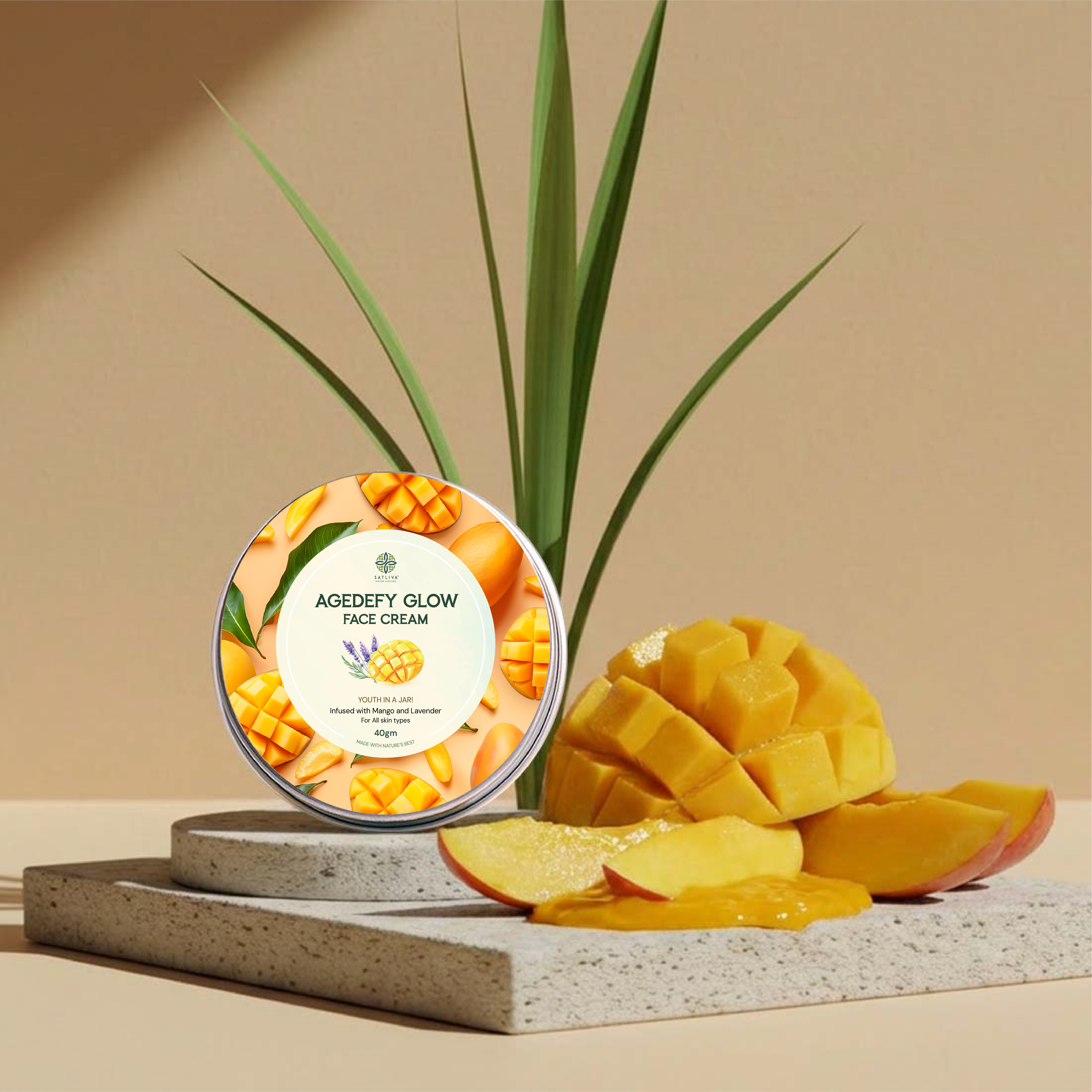 AgeDefy Glow Face Cream 40 grams