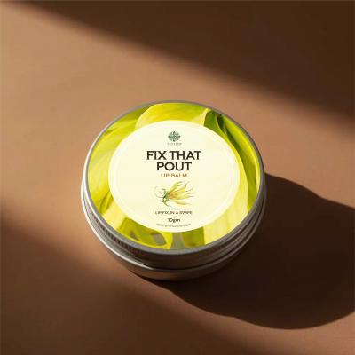 Fix That Pout Lip Balm 10 grams
